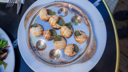 Escargot, French cuisine. Delicacy of edible land snails or mollusks. The snails have a mild flavor, tender texture, served in a warm pool of snail butter made of garlic, shallots, minced parsley