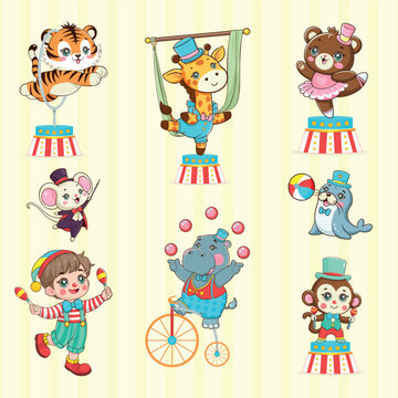 Cute Curcus Collection Character animals cartoon
