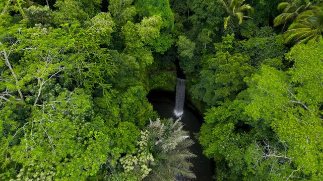 Aerial view of Tibumana waterfall, a beautiful hidden waterfall in rainforest, Bali, Indonesia.  Tibumana Waterfall referred to by locals as Air Terjun Tibumana is one of the most beautiful place.
