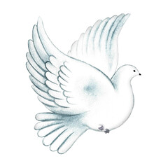 A white flying pigeon. A hand-drawn watercolor illustration. Isolation. A symbol of peace. An element of the design of banners and flyers, invitations and greeting cards, posters and prints.