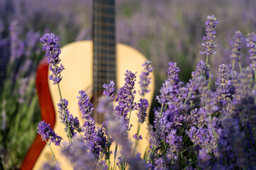 Guitar in a lavender field