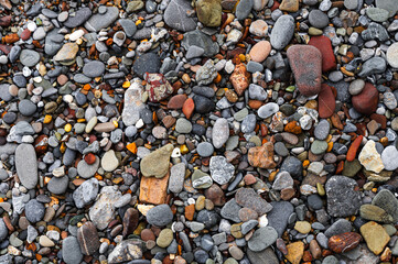 Background of various sea pebbles