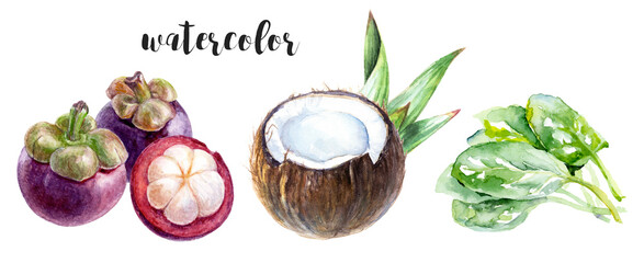 Vibrant watercolor fruit and leaf illustrations capture essence of tropical nature