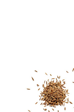 close-up of a pile of organic dry cumin seeds isolated on a transparent background without shadows from above, top view, png