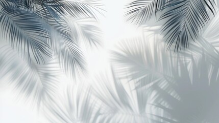 Obraz premium The shadow of a palm tree falls on a white wall, highlighting its graceful silhouette against the backdrop