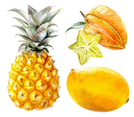 Watercolor illustration of tropical fruits like pineapple, starfruit, and mango, vibrant colors