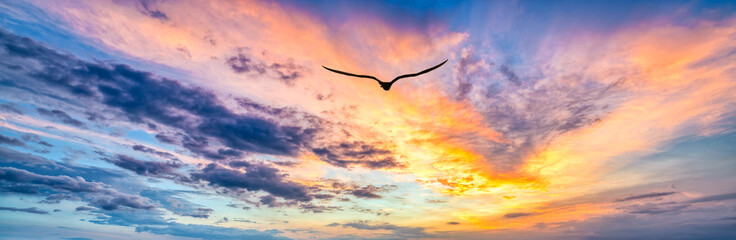 Bird Sunset Flying Inspirational Divine Spiritual Freedom Ocean Sunrise Hope Faith Sunrise Banner...