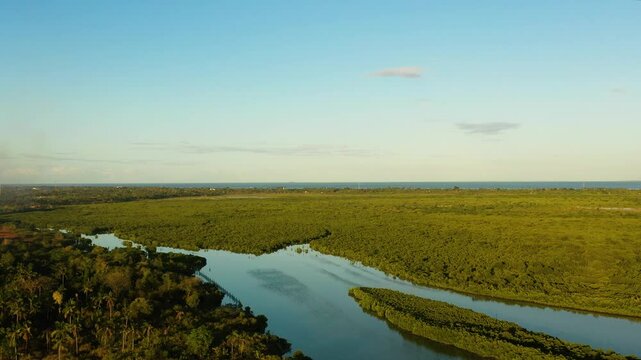 Aerial view of greenery forest in Olango Island Wildlife Sanctuary. Lapu-Lapu, Philippines.