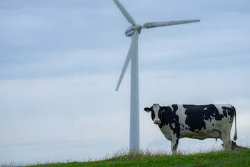Green energy. Eco farm. Wind energy. Eco farming. Green electricity. Wind generator power....