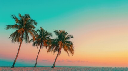 Palm trees at dusk on a sandy beach with a gradient orange-blue sky