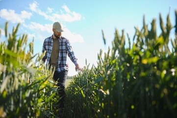 Portrait of farmer standing in wheat field © Serhii
