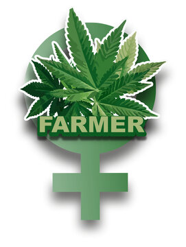 Cannabis Farmer