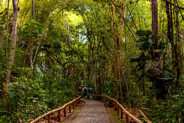 San Agustín Archaeological Park, Huila, Colombia. 2012/01/30. A UNESCO World Heritage site, it features ancient statues and tombs from the 1st to 8th centuries AD, showcasing pre-Columbian culture.