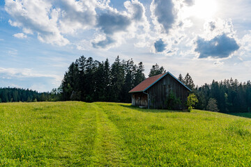 Family hike in the Wildrosenmoos Westallgau water trail near Oberreute Sulzberg