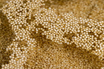 a large amount of quinoa porridge floats in clean water