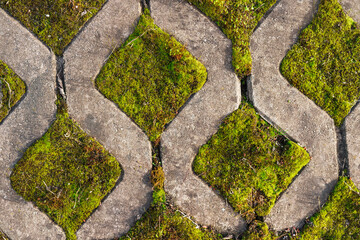 Mossy pavement pattern with green vegetation growing between diamond-shaped concrete blocks....