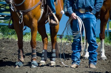 Cowboys And Horse