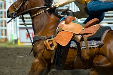 Obraz premium Excitement Of Rodeo