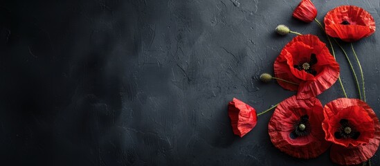 Red poppies on black background. Remembrance Day, Armistice Day, Anzac day symbol