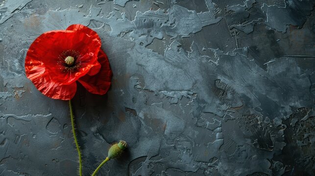 Red poppies on black background. Remembrance Day, Armistice Day, Anzac day symbol