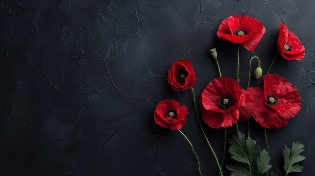 Red poppies on black background. Remembrance Day, Armistice Day, Anzac day symbol