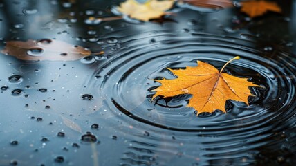 Autumn leaf floating on rippling water surface with raindrops