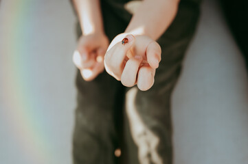 small child holding a ladybug while wearing green pants