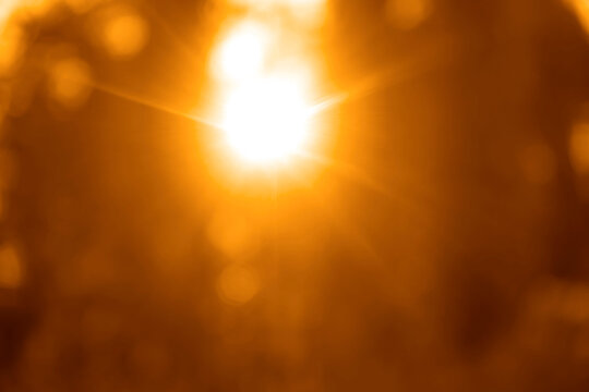 sunrays shines through the tall trees in a lush yellow forest. Golld spring forest banner with branches. blurred background. sun rays beams. sun rays light blurry soft green yellow sparkling sunlight