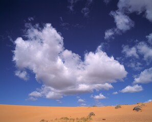 Coral Pink Sand Dunes State Park