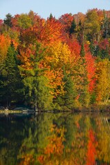 Fototapeta premium Body Of Water In Autumn