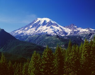 Obraz premium Mount Rainier, Mount Rainier National Park