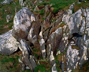 Weathered Rock And Lichen
