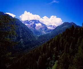 Forested Slopes And Mountain Peaks In The Italian Alps