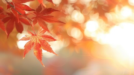 A leafy tree branch with a single leaf on it