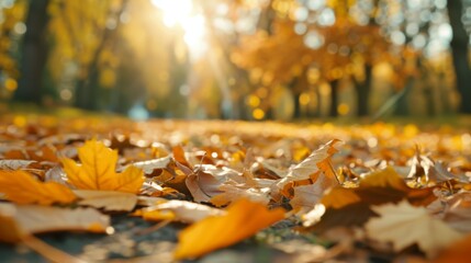 A beautiful autumn scene with leaves on the ground