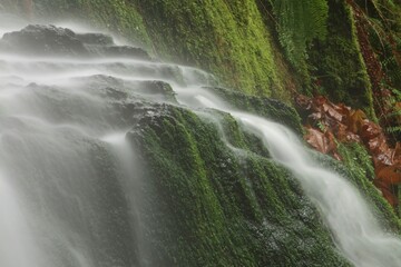 Fototapeta premium Water Streaming Over A Vegetative Landscape