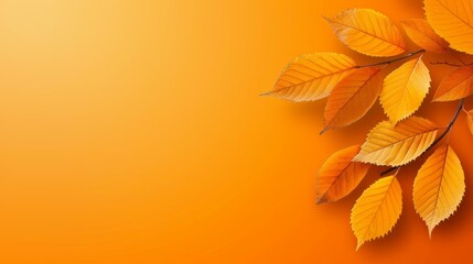 Fototapeta premium A close up of orange leaves on a yellow background