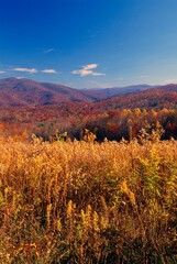 Fototapeta premium Pisgah National Forest In Autumn