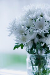 Fototapeta premium Chrysanthemums In Jar