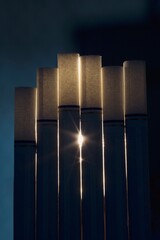 Group Of Cigarettes