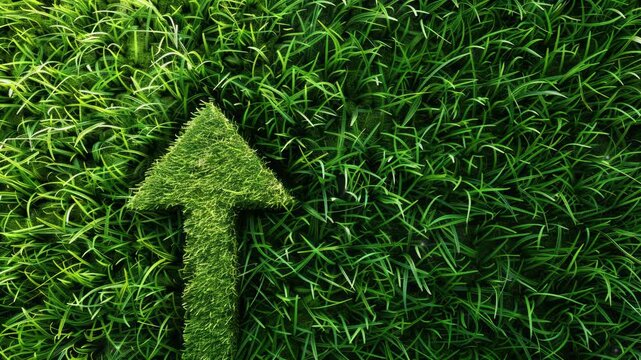 Green grass field with a large, symbolic arrow pointing upwards and forwards, representing sustainable development, eco-friendly growth, and motivational progress in environmental practices.
