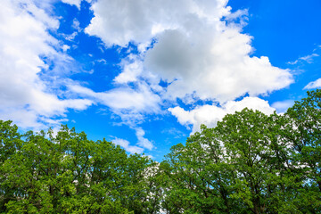 Obraz premium The sky is blue and cloudy, background