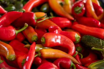 A bundle of siling labuyo or Filipino bird's eye chilies known as the World's smallest hot pepper. The small vivid red fruit has smooth shiny skin and a tapered shape. The stems are green colored.