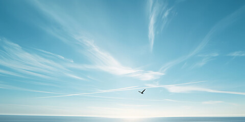 Fototapeta premium A vast sky, a solitary bird flying in the distance, pale blue tones, minimalism, photography, clean background