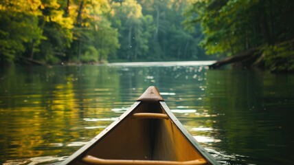 Fototapeta premium Canoe glides through serene forest river surrounded by trees