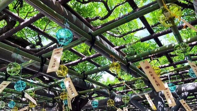 西新井大師　藤棚で風に揺れるたくさんの風鈴