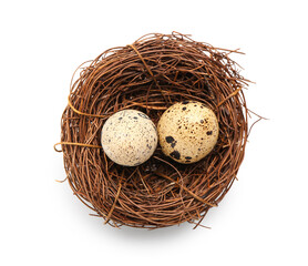 Obraz premium Nest with fresh quail eggs on white background