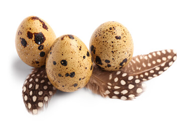 Obraz premium Fresh quail eggs and feathers on white background