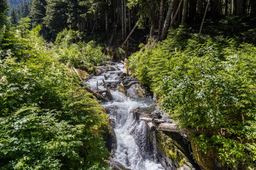 waterfall in the park