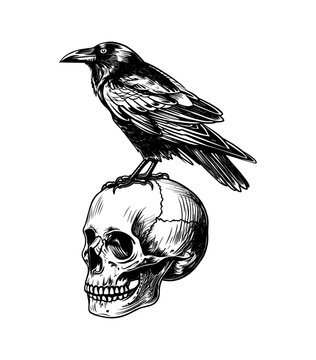 recommend clip art: crow skull engraving black and white outline